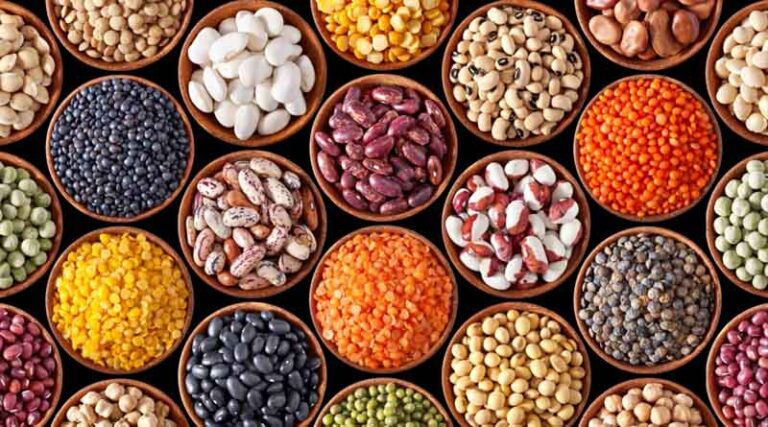 Self-sufficient in production of pulses