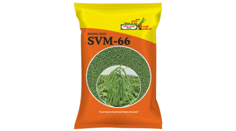 SVM-66 Moong Variety from Shakti Vardhak Hybrid Seeds