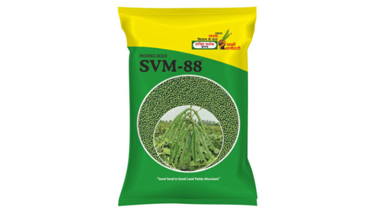 SVM-88 Moong Variety from Shakti Vardhak Hybrid Seeds