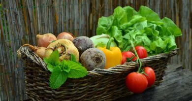 Regional farmers fair to be organized at the Indian Vegetable Research Institute, Varanasi from 03-05 February 2024