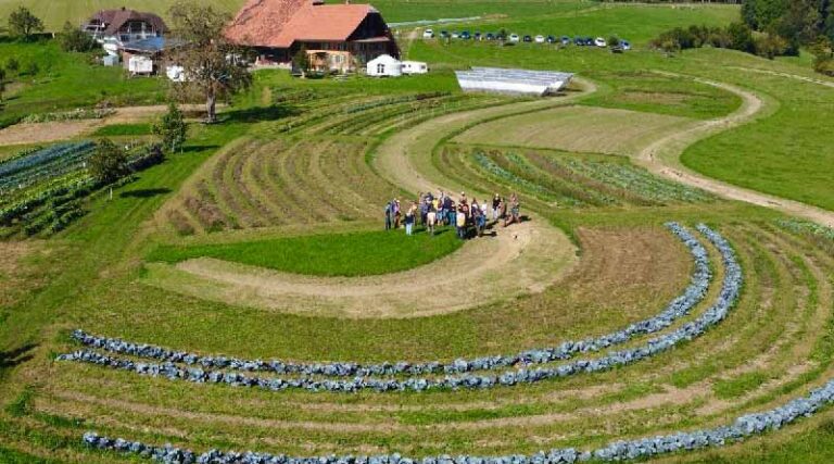 In 2022, more than 10 percent of the European Union’s farmland was organic