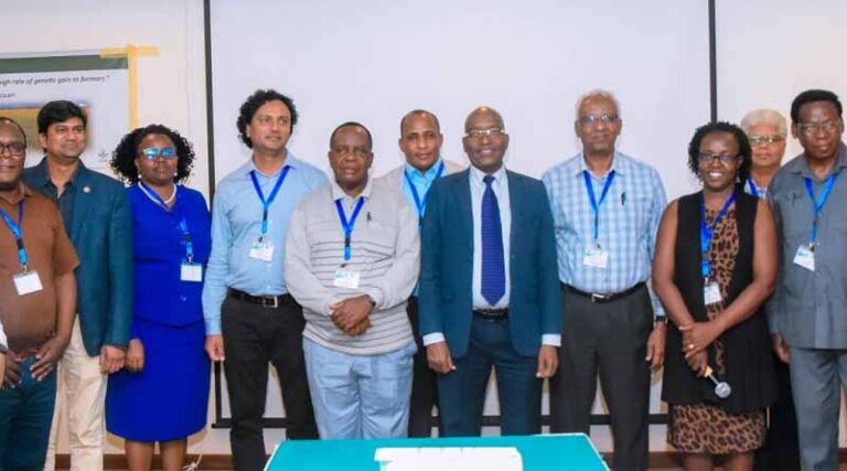 SeedCast brings improved, high-yielding rice varieties closer to Tanzanian farmers