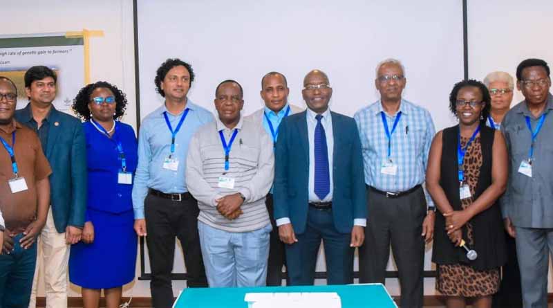 SeedCast brings improved, high-yielding rice varieties closer to Tanzanian farmers