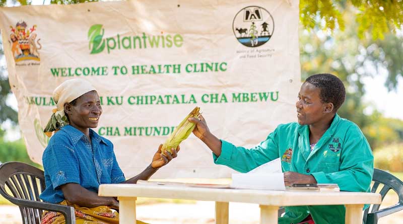 CABI shares important new evidence on the legacy of Plantwise