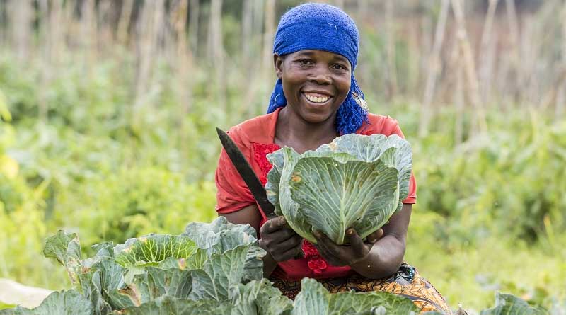 Reflections on COP 28: Conference brought food and farmers to the forefront of climate change negotiations
