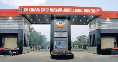 HAU develops new high-yielding wheat variety WH 1402 for Punjab, Haryana and neighboring states