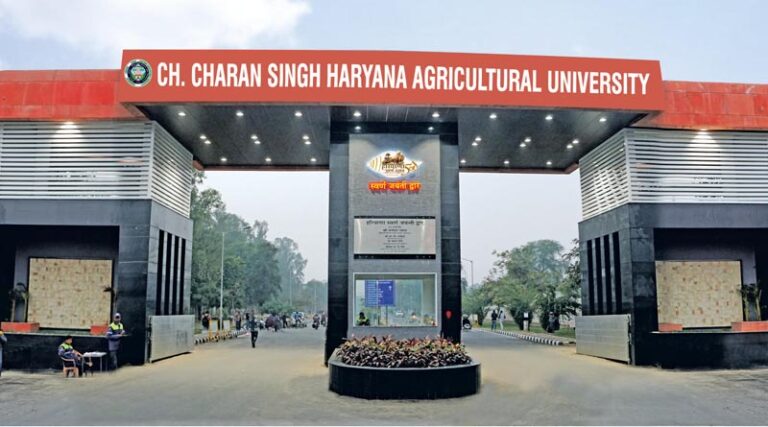 HAU develops new high-yielding wheat variety WH 1402 for Punjab, Haryana and neighboring states