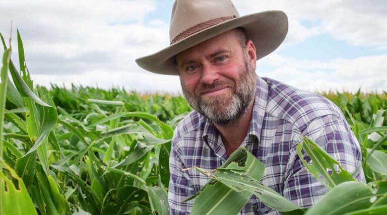 GRDC webinar: Fall armyworm management tips and tactics