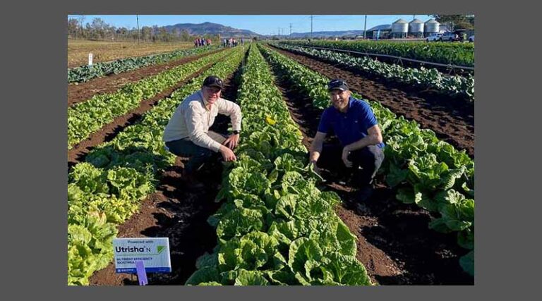 Introducing a revolution in plant health and nutrition