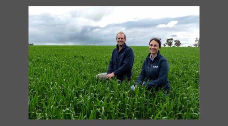 30/30 vision for extended pre-em grass weed control