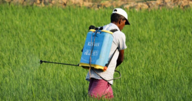 Global Agrochemical market size expected to reach $338.49 Billion by 2030