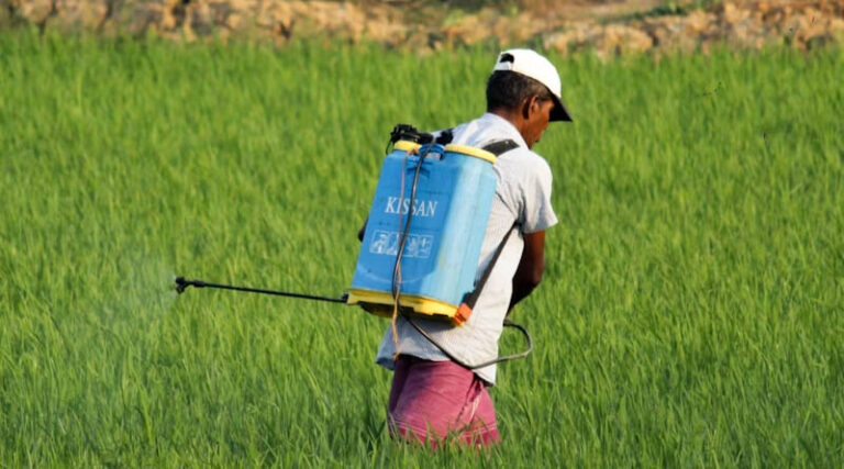 Global Agrochemical market size expected to reach $338.49 Billion by 2030