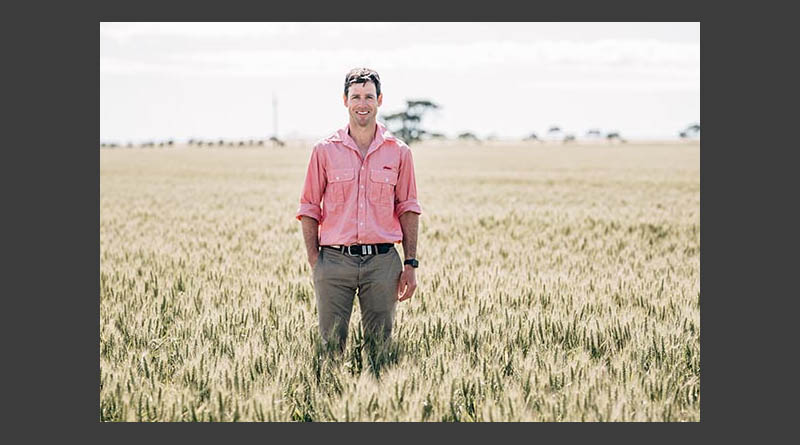 Boost for pulse cropping systems