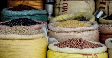 Crop - Pest Index: 67 Major pests of Pigeonpea