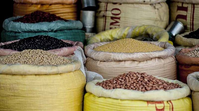 Crop - Pest Index: 67 Major pests of Pigeonpea
