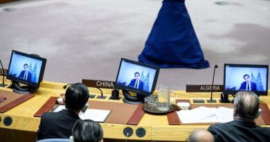 Gaza: In a briefing to the UN Security Council, FAO calls for immediate cessation of hostilities and restoration of humanitarian space to eliminate the risk of famine