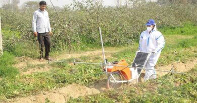 Sowing Seeds of Change: Empowered Women Cultivate a New Era in Agriculture