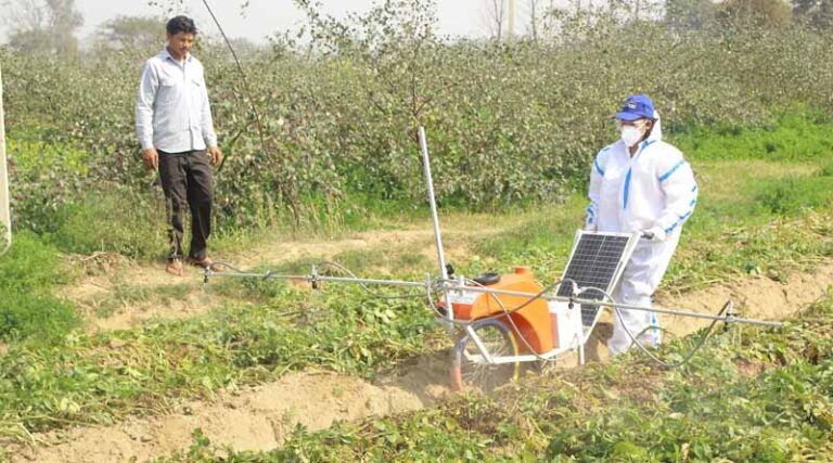 Sowing Seeds of Change: Empowered Women Cultivate a New Era in Agriculture