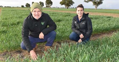 Wider row spacings, new herbicide strategy adds punch to weed fight