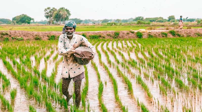 Agri-input industry reacts to Union Budget 2024