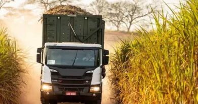 Will There Be Storage and Logistics Problems in Brazilian Agriculture in 2024?