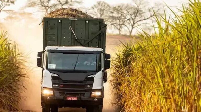 Will There Be Storage and Logistics Problems in Brazilian Agriculture in 2024?