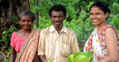 Free crop pest diagnosis and management courses now available in India