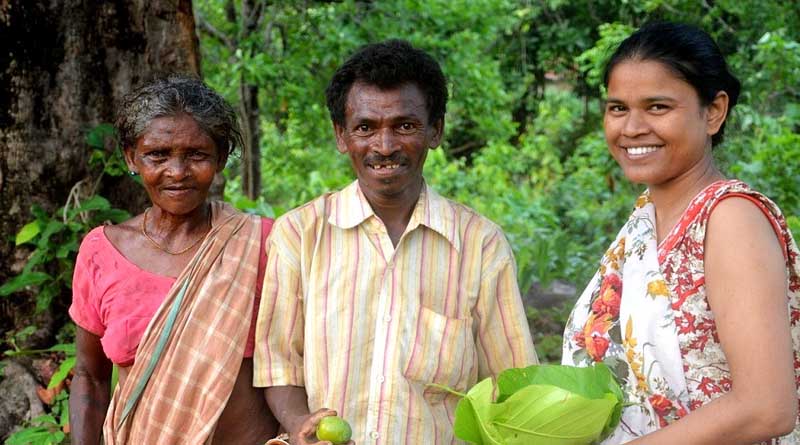 Free crop pest diagnosis and management courses now available in India