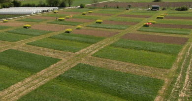 FiBL lecture "Introduction to Organic Farming Systems"