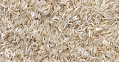 Central government starts sale of 'Bharat' rice, priced at just Rs 29 per kg