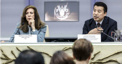 Global Environment Facility approves new FAO-led projects and programs benefiting 46 countries