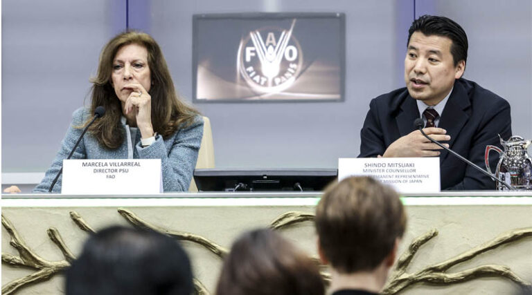Global Environment Facility approves new FAO-led projects and programs benefiting 46 countries