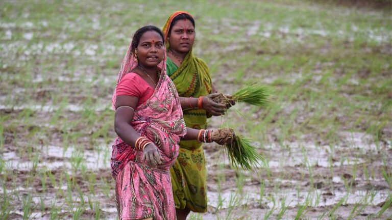 Adapting traditional farming practices like 'Krishi Panchang' for climate-smart agriculture
