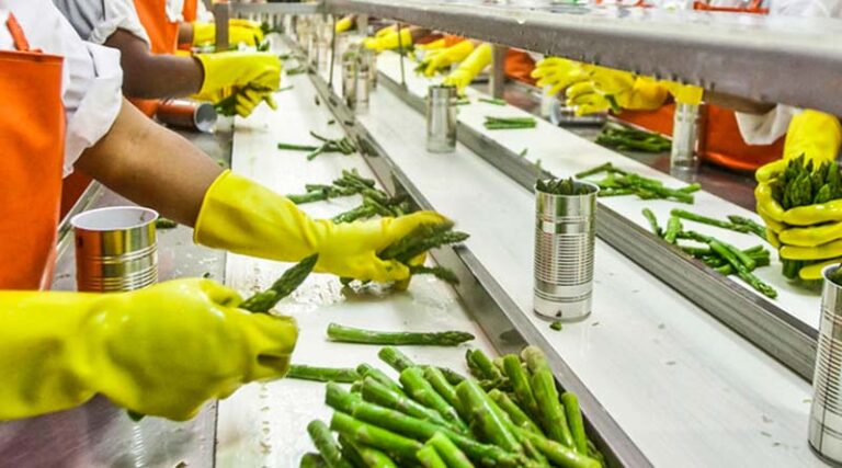 Processed food exports from India