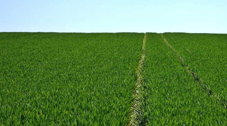 Unutilized from the Budget by the Ministry of Agriculture and Farmers Welfare during 2019-20 to 2022-23