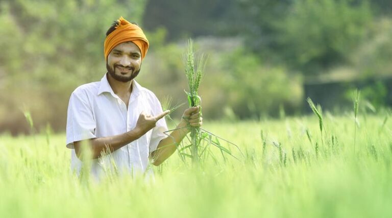 How many Panchayats have been Digitalized in India