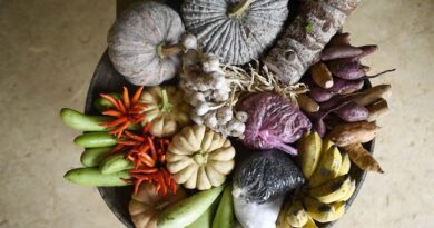FAO launches new portal for statistics on Food and Diet