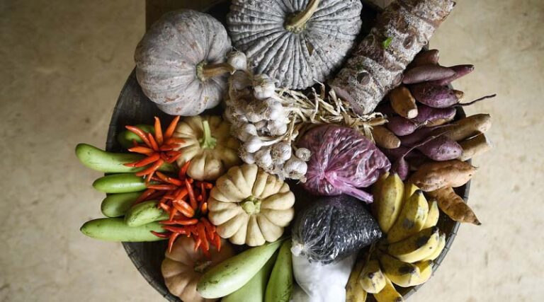 FAO launches new portal for statistics on Food and Diet