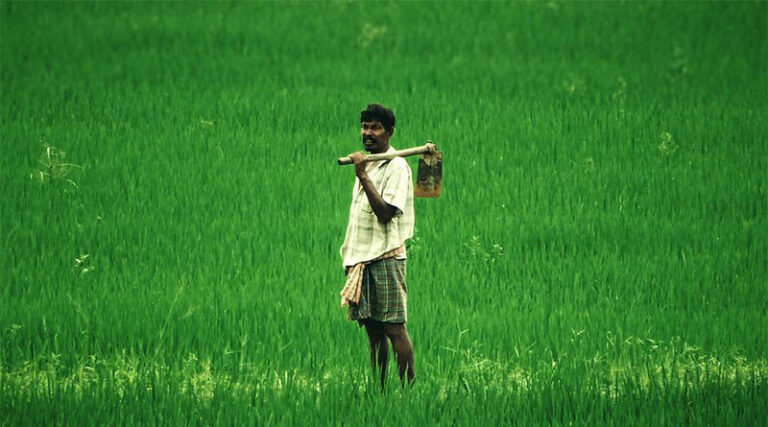 Cabinet approves marketing margin for supply of Domestic gas to Fertilizer (Urea) for the Period May 2009 – November 2015