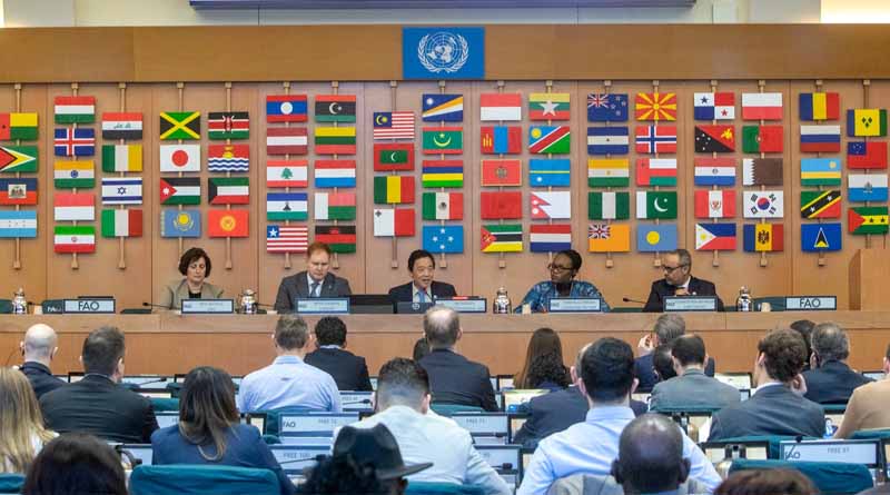FAO urges more cooperation in banana sector, significant for some least developed and low-income food-deficit countries and smallholder farmers
