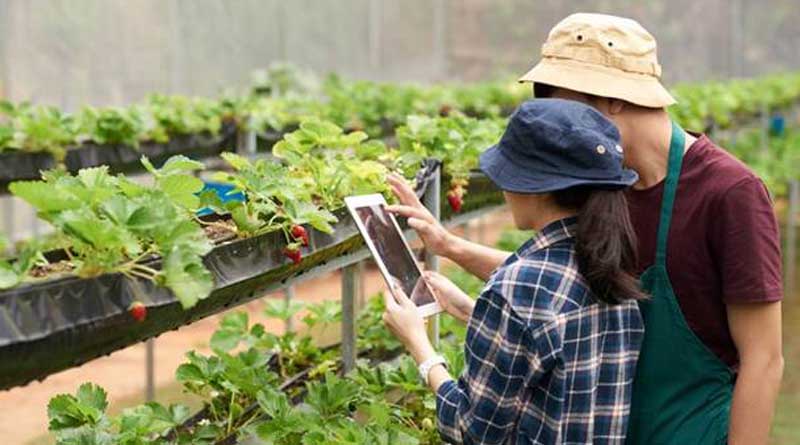 Precision Farming Market Forecasted to Achieve US$ 20.36 Billion by 2032
