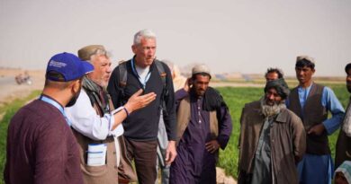 Afghanistan: the food security situation is improving, but the crisis is far from over
