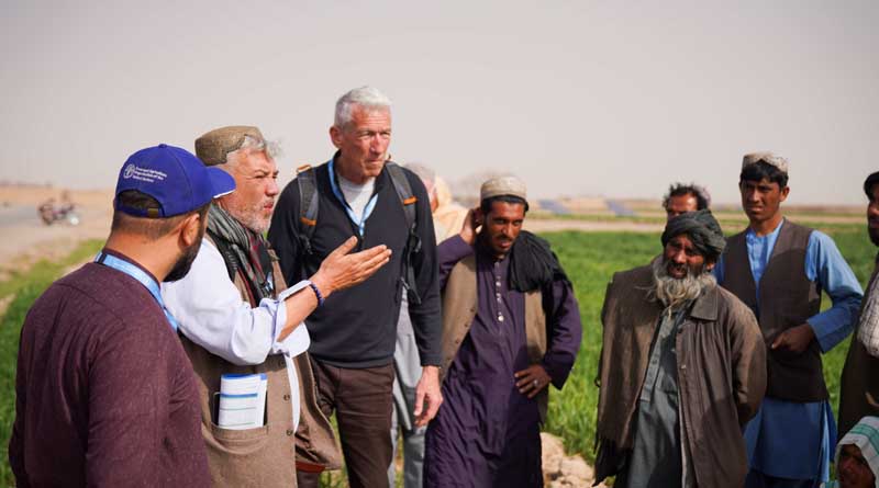 Afghanistan: the food security situation is improving, but the crisis is far from over
