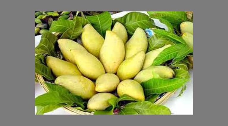 Vegetable, fruit exports see large potential in Southeast Asia, Middle East: forum