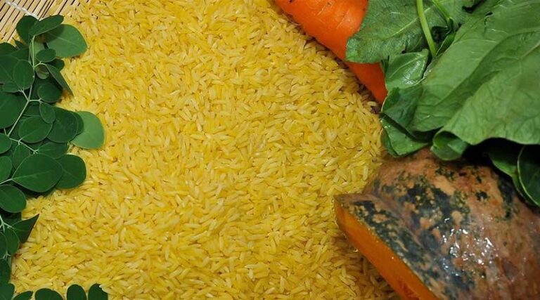 Bangladesh still stuck in the past as locally grown Golden Rice hits markets in the Philippines