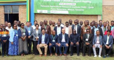 IRRI and AfricaRice collaborate on developing and delivering improved and localized rice varieties to smallholder farmers in Africa