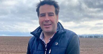 Early phosphate ‘critical’ to help winter wheat crops recover