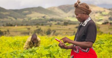 CABI-led study shows benefits of chatgroups to human health can be replicated in plant health