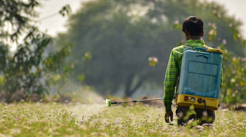 Key milestone reached in ongoing efforts to enhance regulatory harmonization of pesticides in Philippines