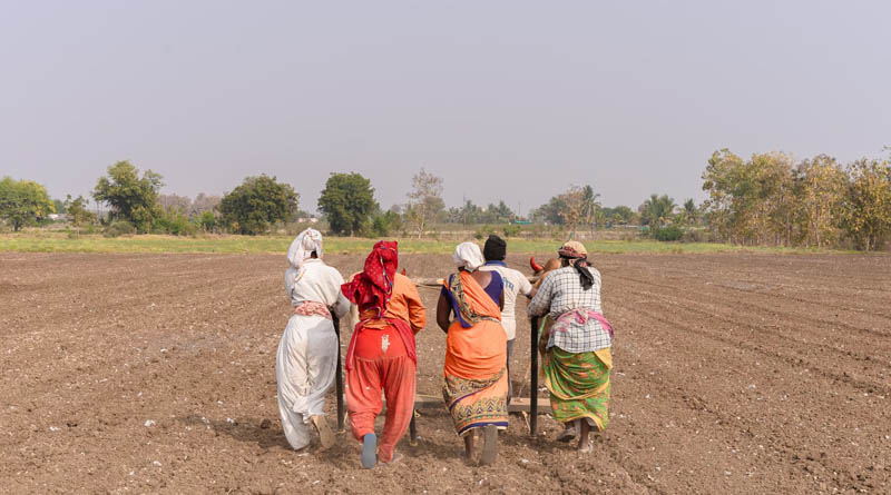Severe Heatwave Warning: IMD Predicts Higher Temperatures in Maharashtra, Karnataka, and More